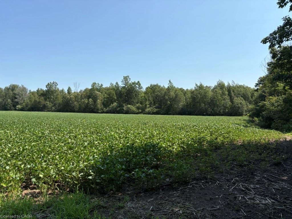 1194 Concession 14 W, South Bruce, ON, N0G 2S0