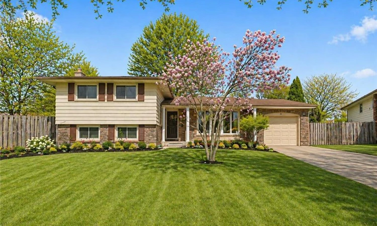74 Macoomb Drive
