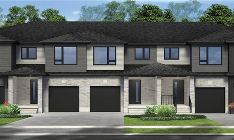 11 Wilcox Street