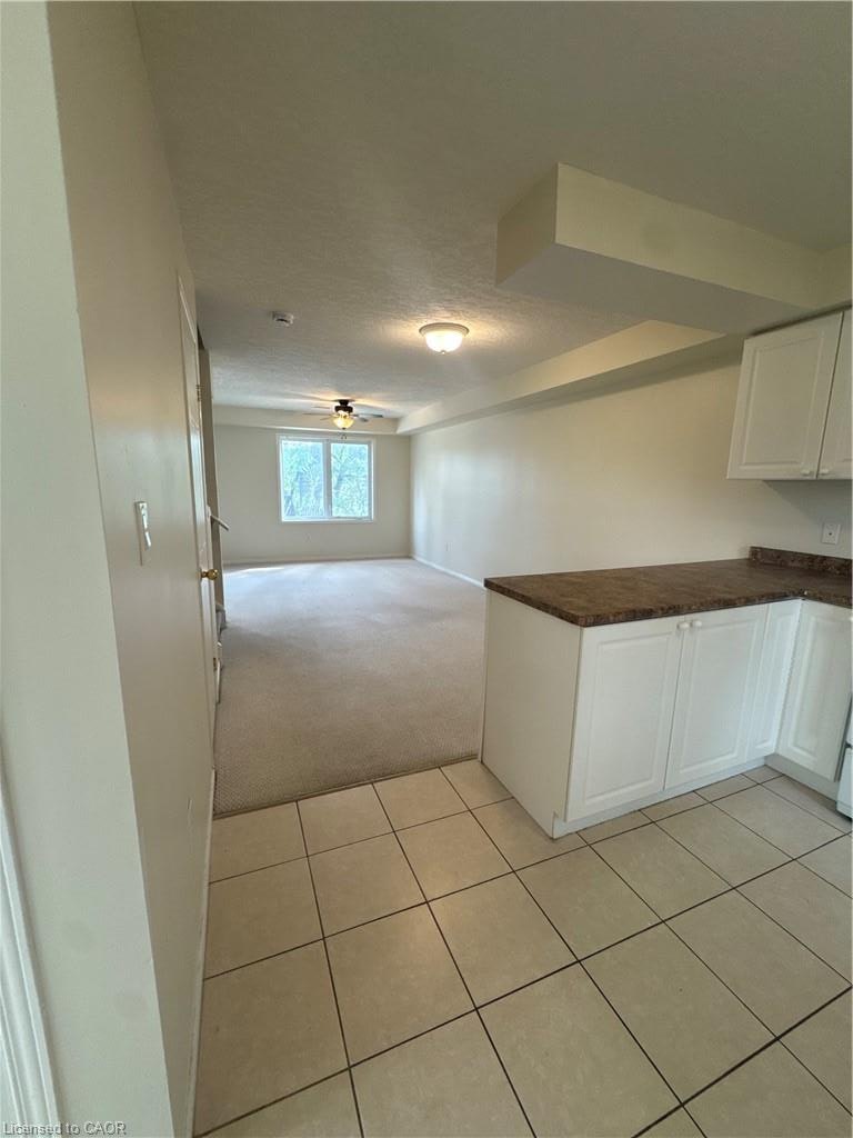MAIN-116 Walter Street, Kitchener, ON, N2G 1S4 - 6