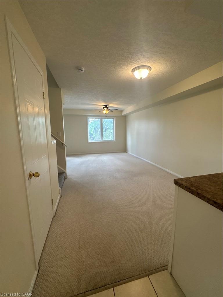MAIN-116 Walter Street, Kitchener, ON, N2G 1S4 - 8