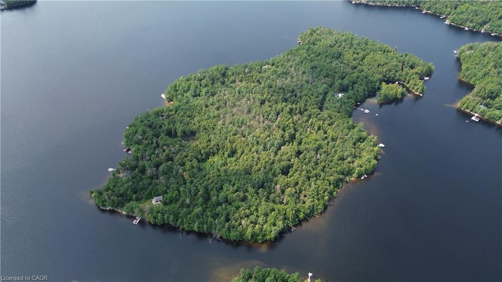 BLADE Gold Lake Island, Galway-Cavendish and Harvey, ON, K0L 1J0