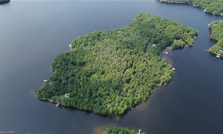 BLADE Gold Lake Island