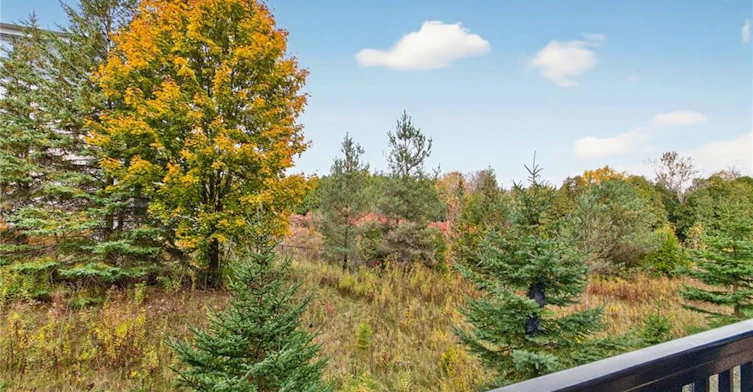 57-60 Arkell Road, Guelph, ON, N1L 0N8 - 46