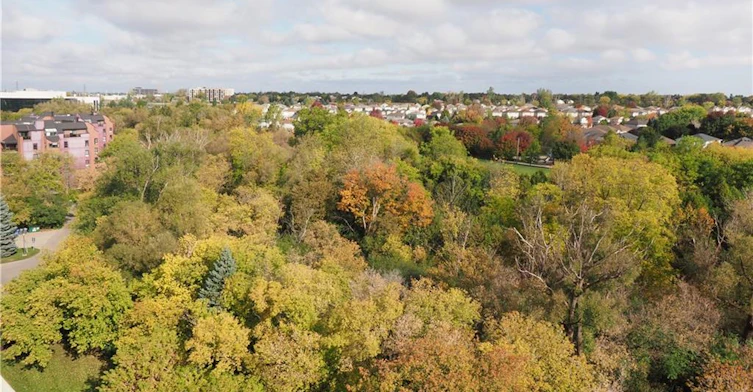 PH-55 Blue Springs Drive, Waterloo, ON, N2J 4T3 - 37