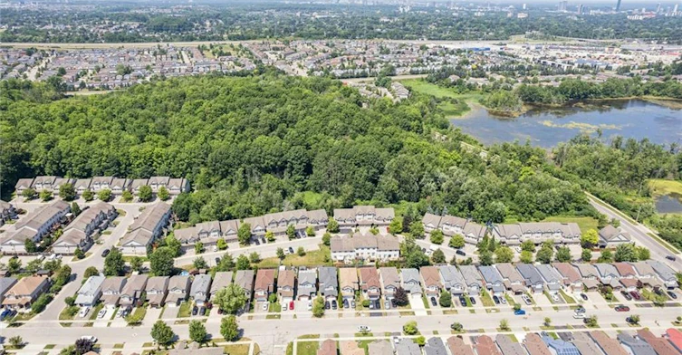 71 Peach Blossom Crescent, Kitchener, ON, N2E 3Z7 - 47