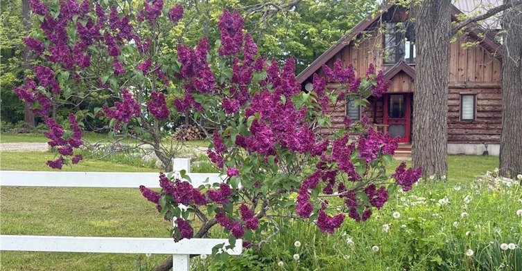 3 Upper Mohawk Point, Cayuga, ON, N0A 1K0 - 22