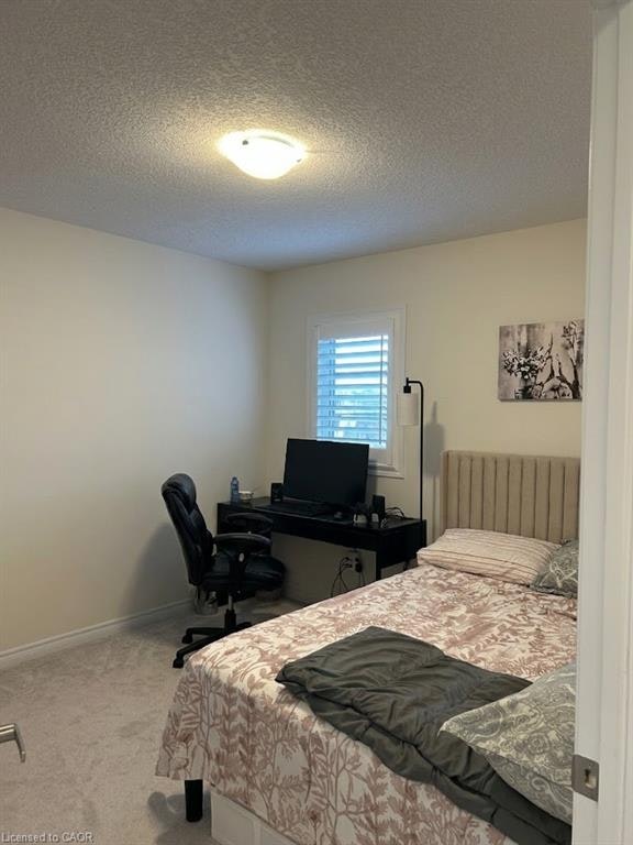 51 Magdalena Street, Hamilton, ON, L8J 0M3 - 13