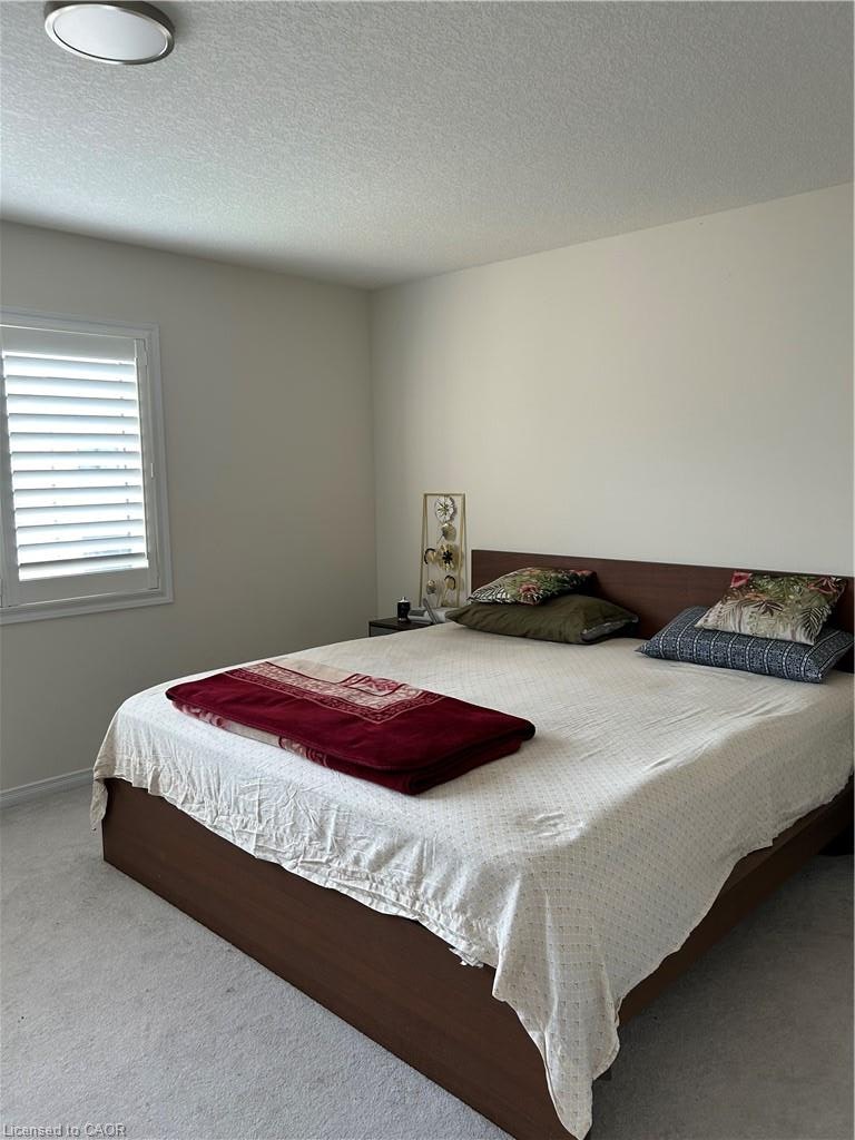 51 Magdalena Street, Hamilton, ON, L8J 0M3 - 8