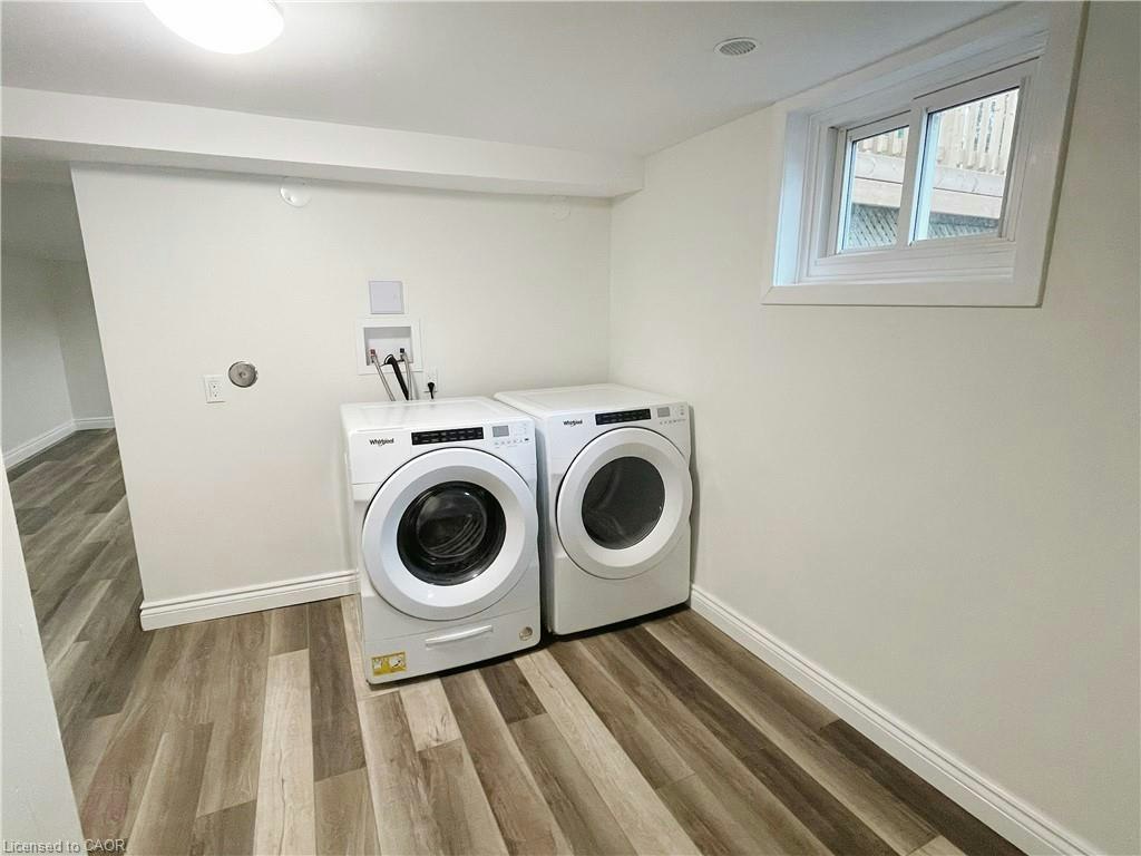 Basement-87 Elgin Crescent, Waterloo, ON, N2J 2S3 - 6