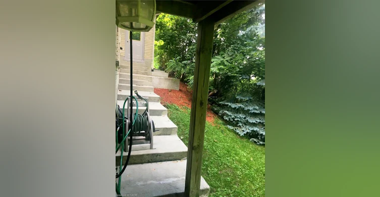 LOWER-2111 Countrystone Place, Kitchener, ON, N2N 3L7 - 11
