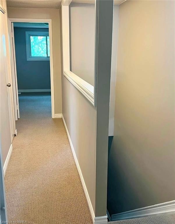 50-62 Tivoli Drive, Hamilton, ON, L9C 2E4 - 14