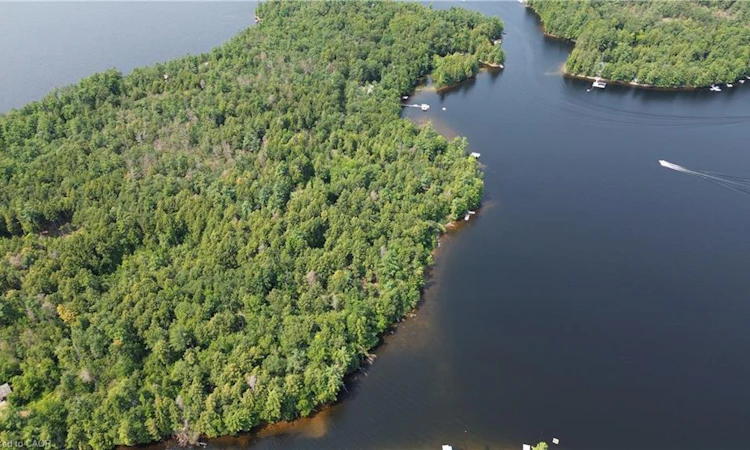 0 BLADE Gold Lake Island