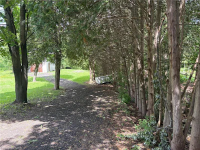318 Freelton Road - 4