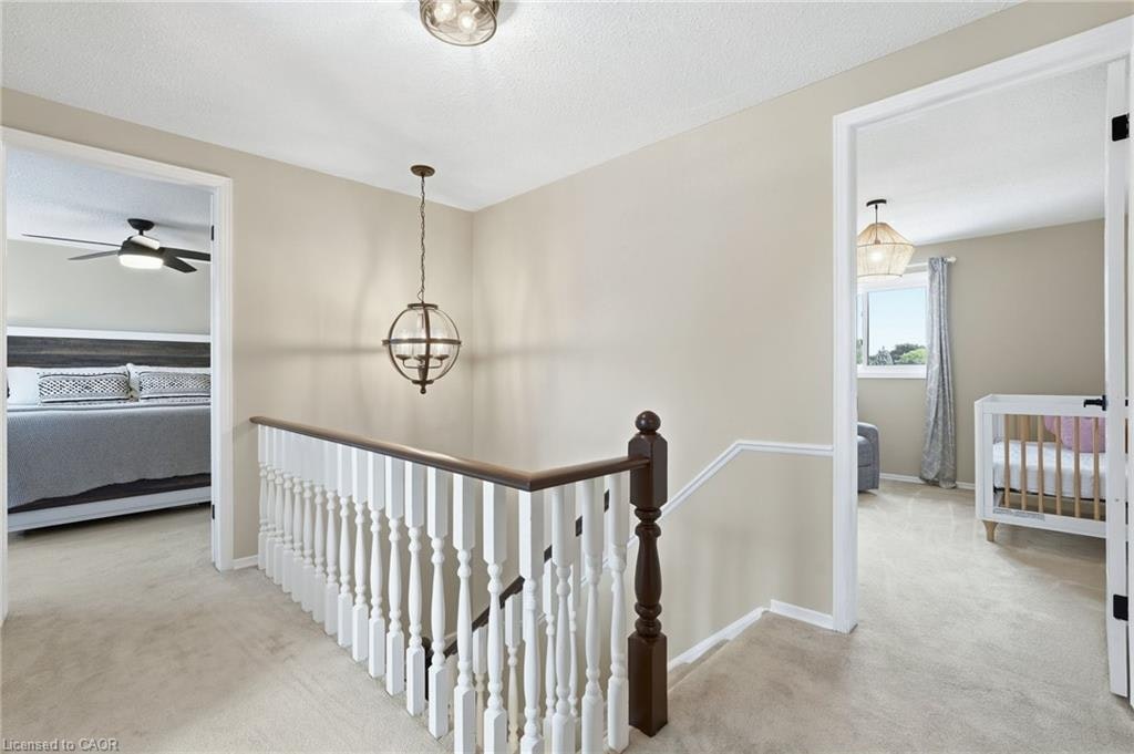 10 Acacia Street, Hamilton, ON, L8J 1V6 - 21