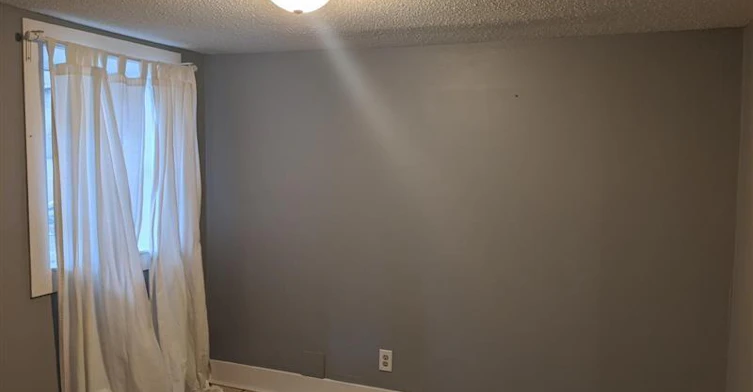 LOWER-98 West Avenue N, Hamilton, ON, L8L 5C3 - 7