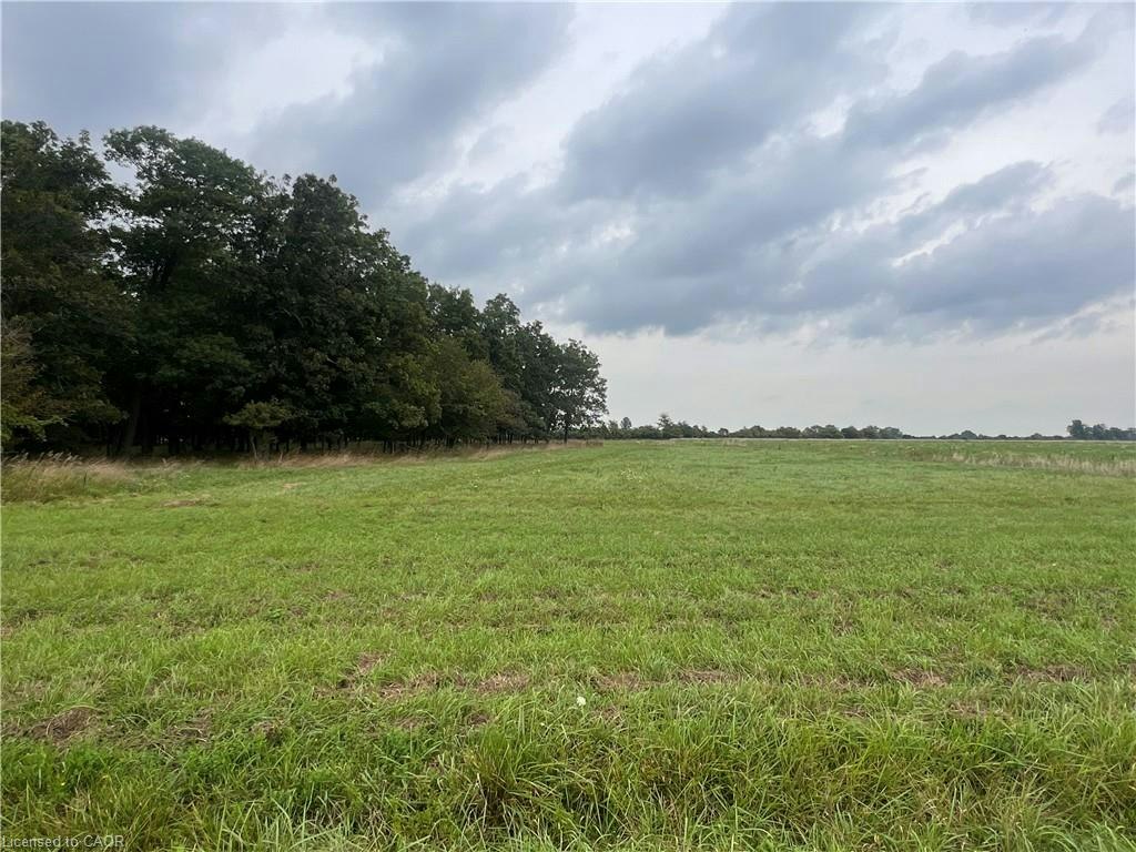 0 Link Road, Cayuga, ON, N0A 1E0