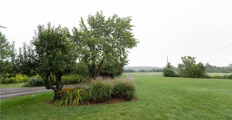 7682 Old Tremaine Road, Milton, ON, L9E 1B6 - 3