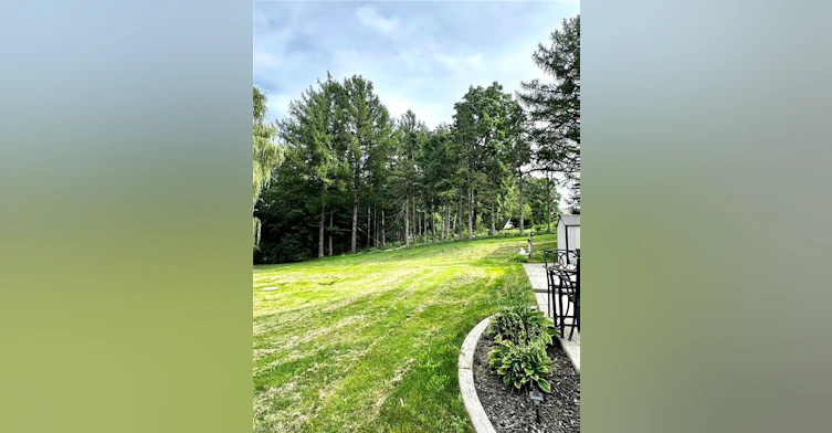 Basement-572 Hidden Valley Road, Kitchener, ON, N2C 2S6 - 7