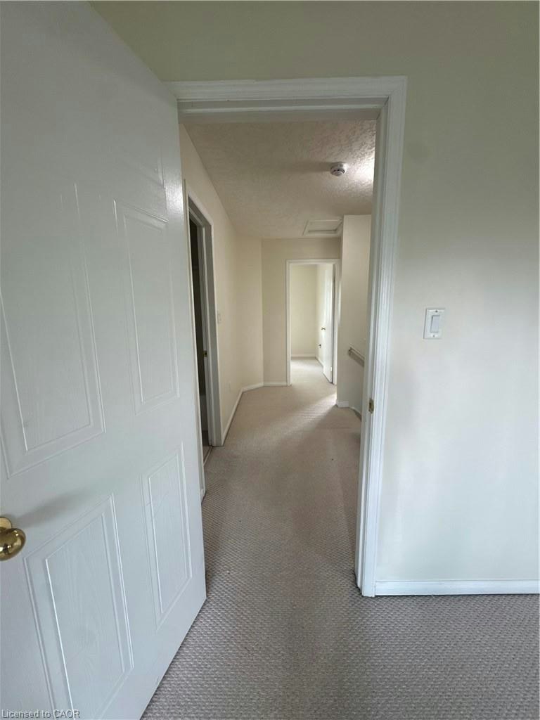 MAIN-116 Walter Street, Kitchener, ON, N2G 1S4 - 18