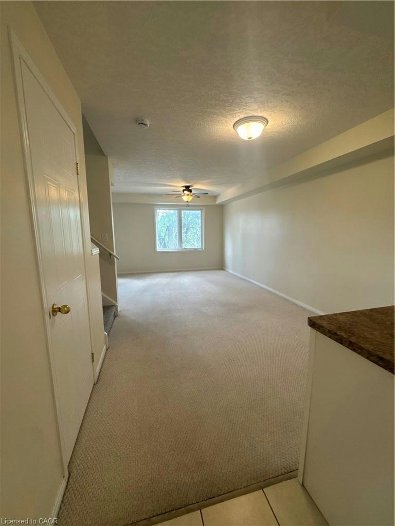 MAIN-116 Walter Street, Kitchener, ON, N2G 1S4 - 8