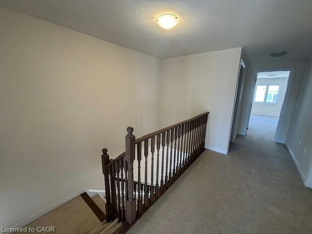 102 Mcgill Avenue, Erin, ON, N0B 1T0 - 19