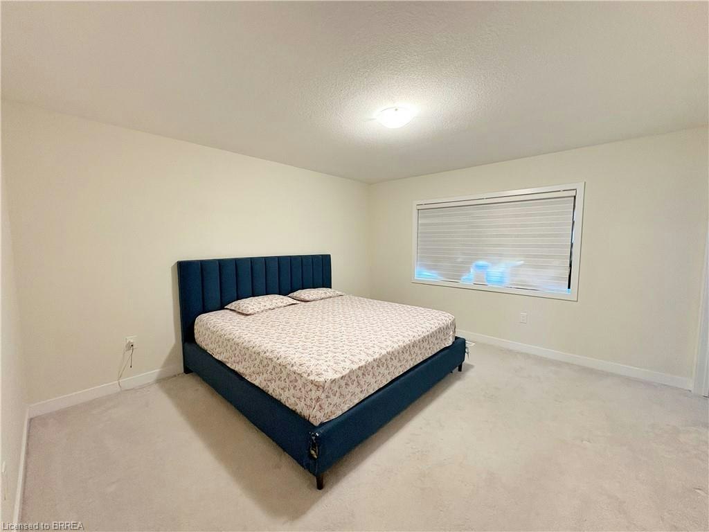 6 Owl Lane, Cayuga, ON, N3W 0G4 - 17
