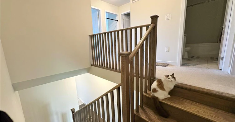 6 Owl Lane, Cayuga, ON, N3W 0G4 - 16