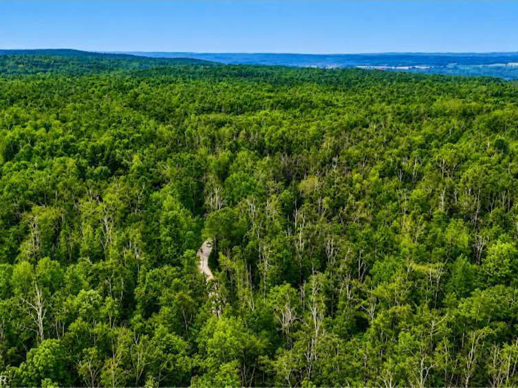 5822 Line 8 N, Oro-Medonte, ON, L0K 1N0 - 6
