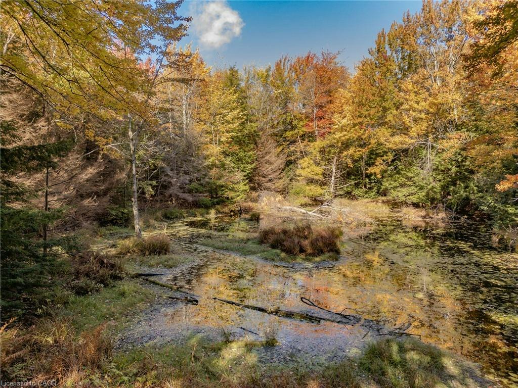 5822 Line 8 N, Oro-Medonte, ON, L0K 1N0 - 8