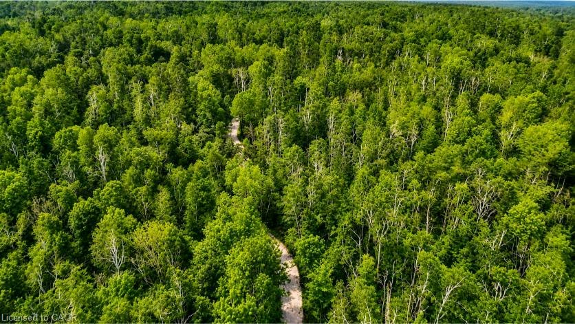 5822 Line 8 N, Oro-Medonte, ON, L0K 1N0 - 7