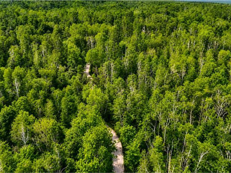 5822 Line 8 N, Oro-Medonte, ON, L0K 1N0 - 7