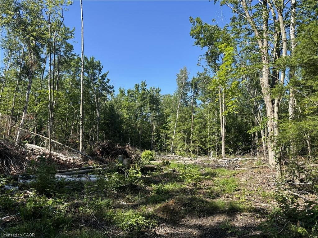 5822 Line 8 N, Oro-Medonte, ON, L0K 1N0 - 13