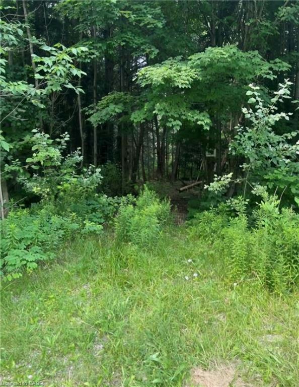 00 Highway 24, Brant, ON, N0E 1R0 - 7
