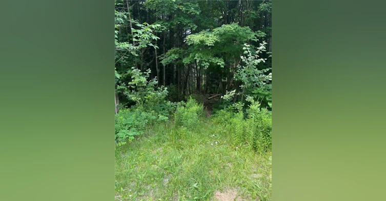 00 Highway 24, Brant, ON, N0E 1R0 - 7