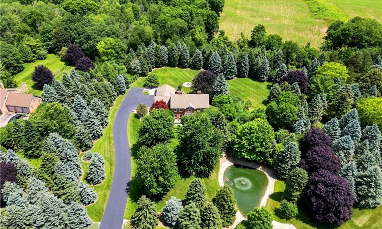 6 Hickory Hollow