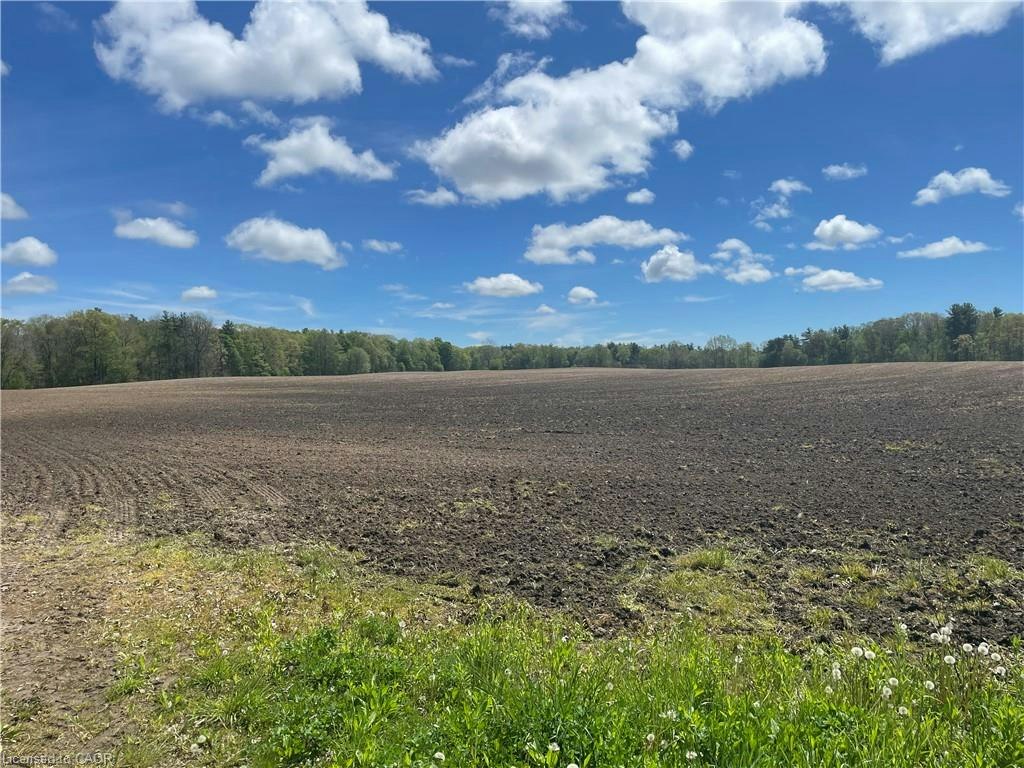 PT LT 4 Concession 10rd, Norfolk County, ON, N4B 2W4