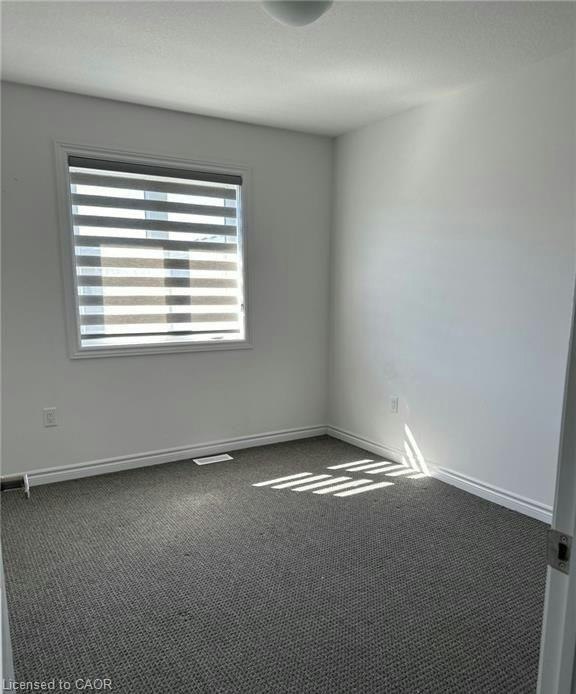 53 June Callwood Way, Brantford, ON, N3T 0V2 - 10