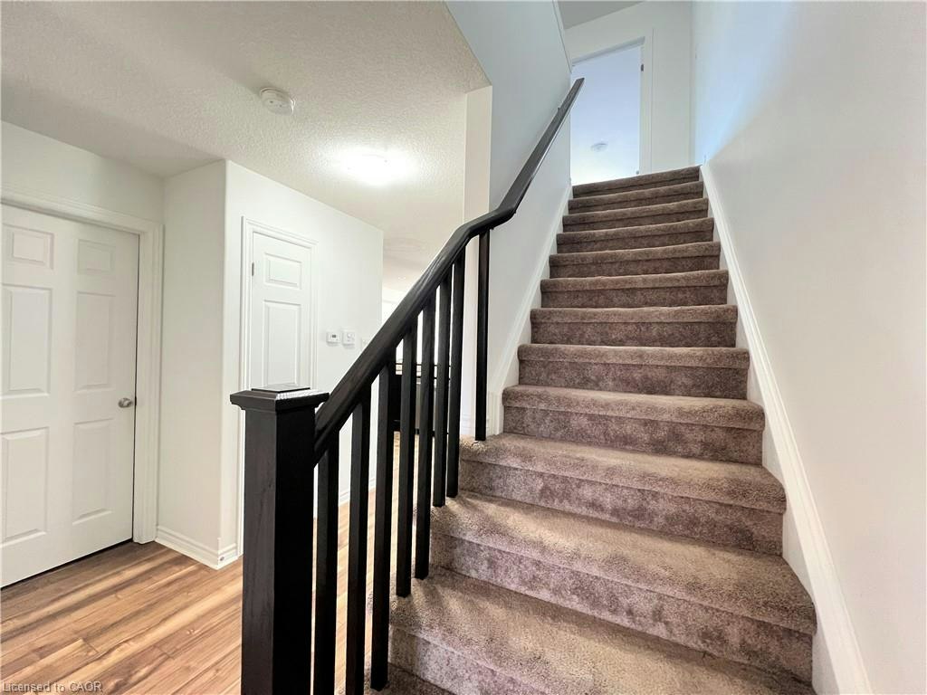 46 Renfrew Street, Kitchener, ON, N2R 0G5 - 13