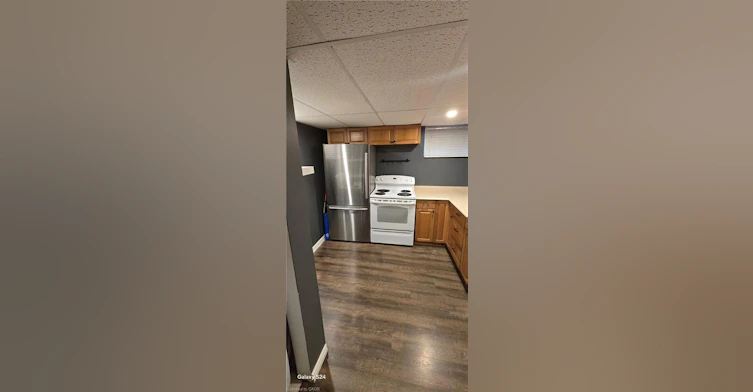 BASEMENT-15 Bolan Court, Hamilton, ON, L8V 1S6 - 4