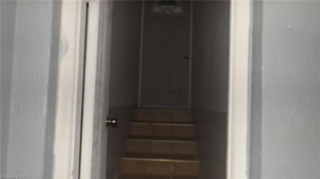 68 Austin Drive, Waterloo, ON, N2L 3Y4 - 18