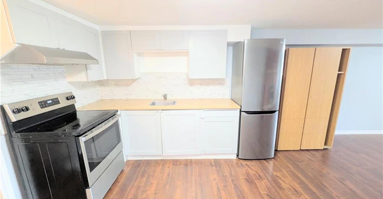 Basement-35 Leaway Avenue, Hamilton, ON, L8W 1S7 - 4