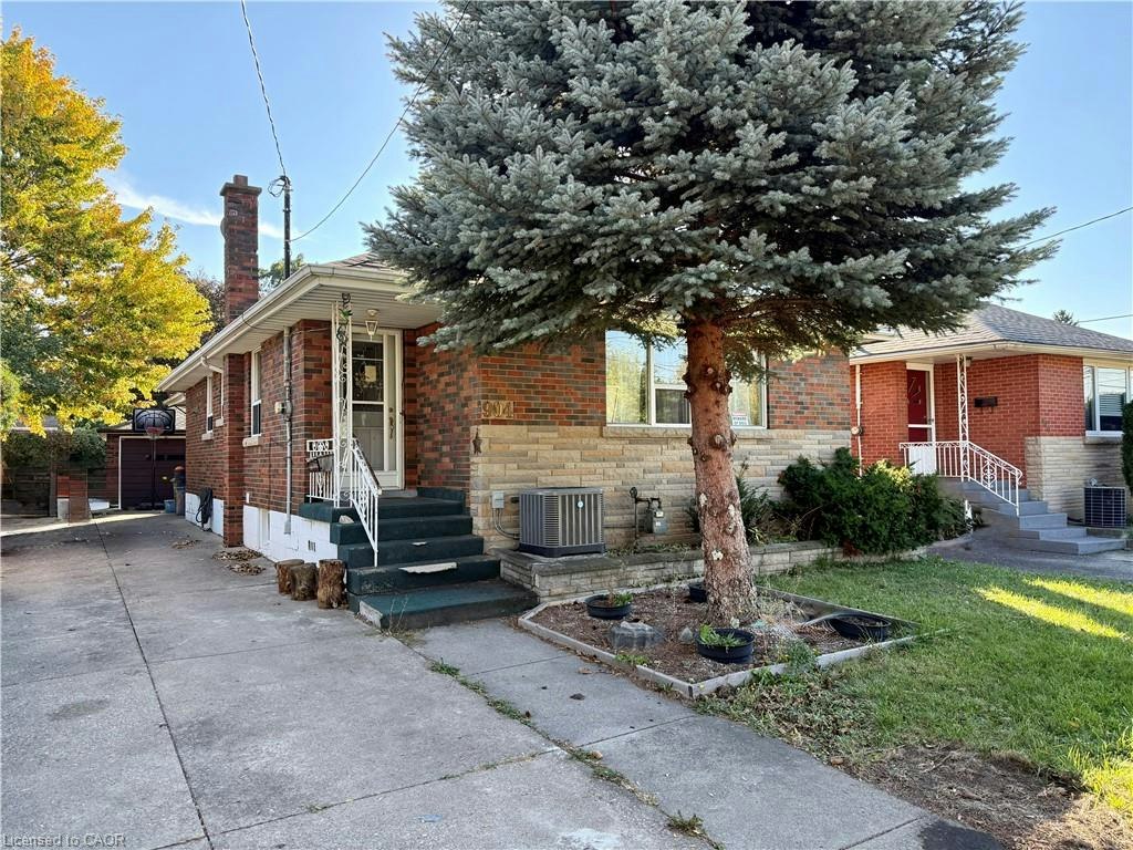 Basement-904 Maple Avenue, Hamilton, ON, L8K 1L4