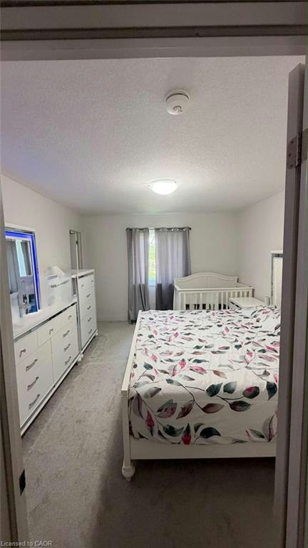 118 Street Street, Kintore, ON, N0M 2M0 - 18