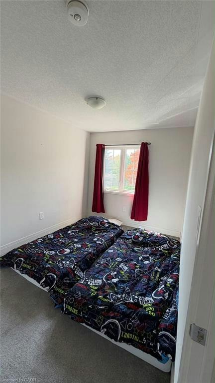 118 Street Street, Kintore, ON, N0M 2M0 - 13