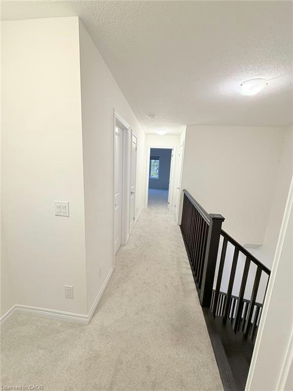220 Broadacre Drive, Kitchener, ON, N2R 0S6 - 36