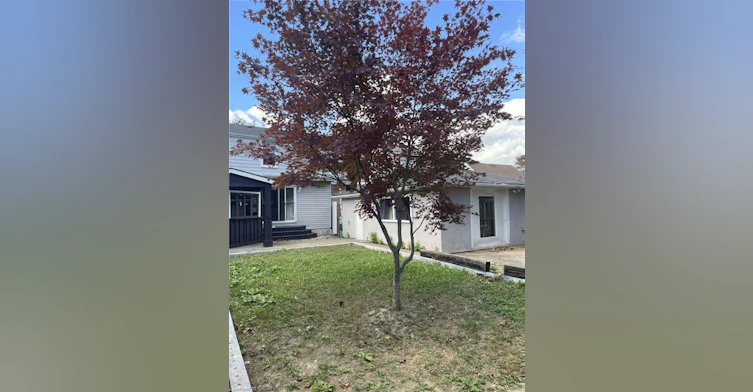 Upper-225 East 14th Street, Hamilton, ON, L9A 4B7 - 4
