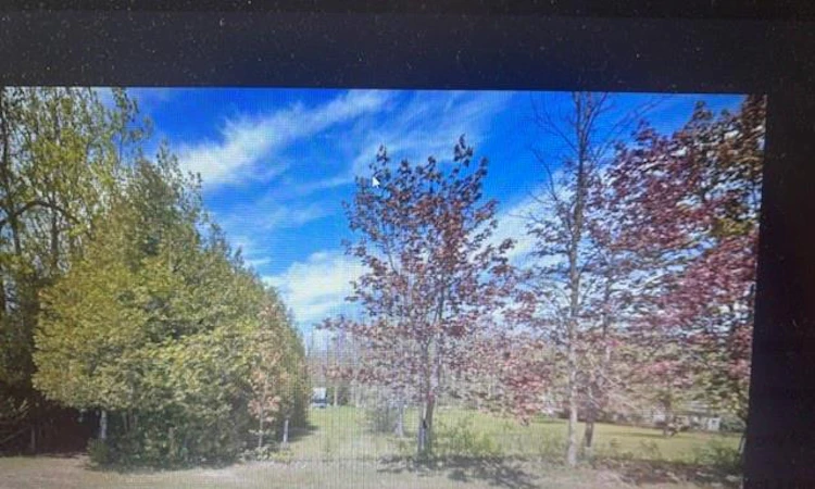 7846 Sideroad 21 Side Road