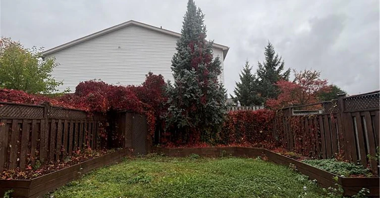 Upper-138 Heiman Street, Kitchener, ON, N2M 3L9 - 23
