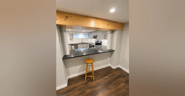 BASEMENT-119 King Street E, Hamilton, ON, L8G 1L2 - 6